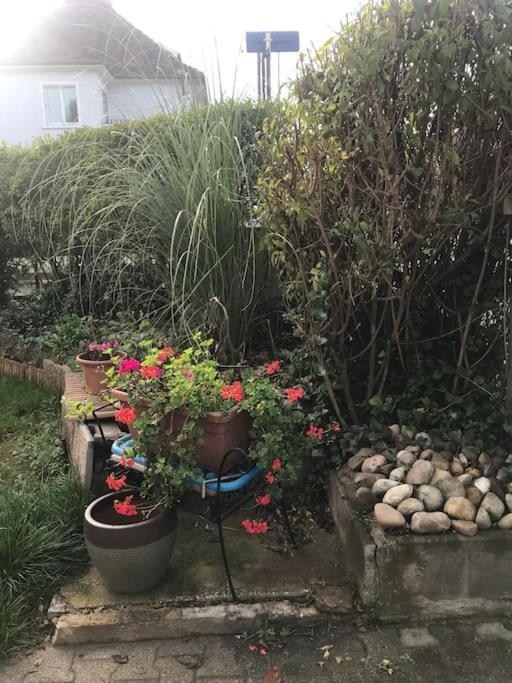 Appartement A La Decouverte De Strasbourg Bischheim Kültér fotó